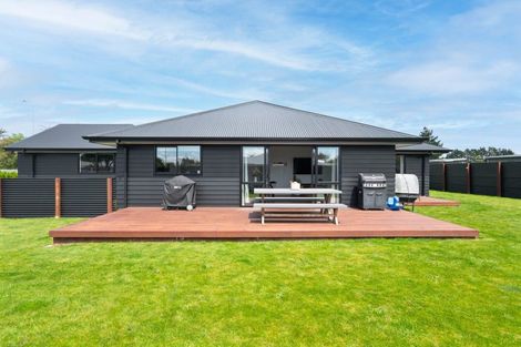 Photo of property in 8 Old Orchard Road, Solway, Masterton, 5810