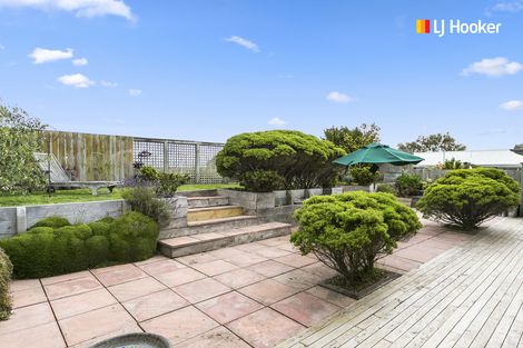 Photo of property in 43 Mornington Road, Balaclava, Dunedin, 9011