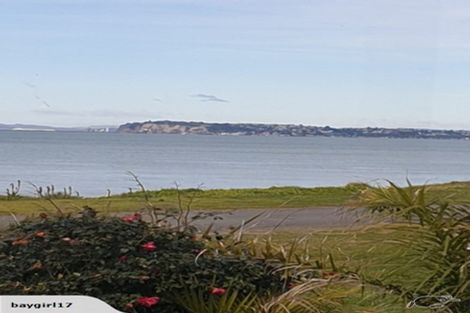 Photo of property in 111 North Shore Road, Eskdale, Napier, 4182