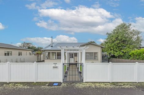 Photo of property in 43 Knowles Street, Terrace End, Palmerston North, 4410