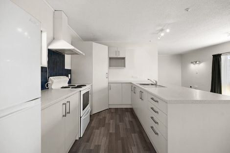 Photo of property in 124ab Nixon Street, Hamilton East, Hamilton, 3216