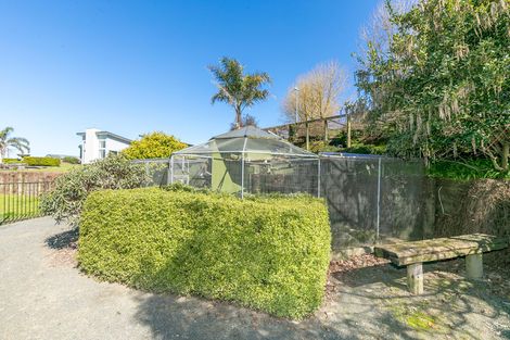 Photo of property in 53 Matai Road, Matamata, 3472