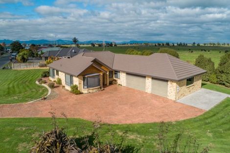 Photo of property in 18 Harris Place, Ngatea, 3503