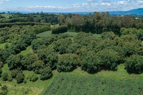 Photo of property in 56 Kauri Point Road, Laingholm, Auckland, 0604