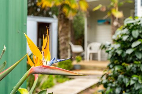 Photo of property in 37 Pebblebrook Road, Mangawhai, Kaiwaka, 0573