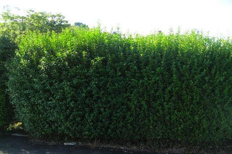 Photo of property in 20 Selwyn Street, North East Valley, Dunedin, 9010