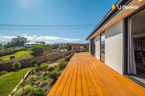 Photo of property in 122a Middleton Road, Corstorphine, Dunedin, 9012