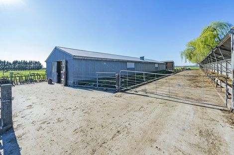 Photo of property in 320 Brookside & Irwell Road, Leeston, 7682