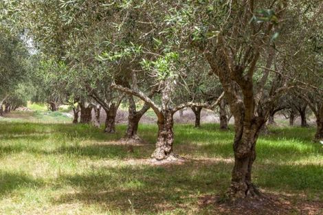 Photo of property in 7 Harding Road, Wellsford, 0972