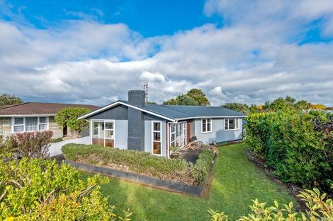Photo of property in 132 Limbrick Street, Terrace End, Palmerston North, 4410