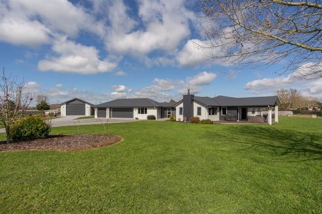 Photo of property in 42c Marshmeadow Road, Newstead, Hamilton, 3286