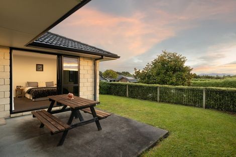 Photo of property in 162 Cumberland Drive, Flagstaff, Hamilton, 3210