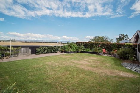 Photo of property in 29 Shere Street, Pleasant Point, 7903