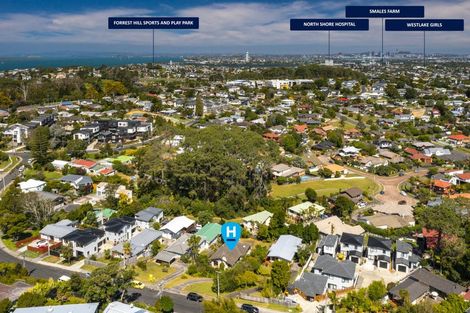 Photo of property in 17 Morton Avenue, Forrest Hill, Auckland, 0620