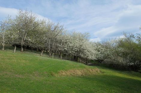 Photo of property in 317 Chain Hills Road, Chain Hills, Dunedin, 9076