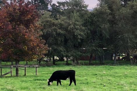 Photo of property in 110a Ruebe Road, Buckland, Pukekohe, 2677