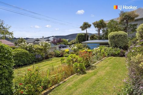 Photo of property in 19 Beta Street, Belleknowes, Dunedin, 9011