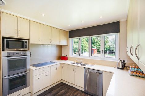 Photo of property in 159 Salisbury Street, Ashhurst, 4810