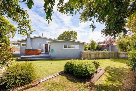 Photo of property in 50 Haydon Street, Roslyn, Palmerston North, 4414