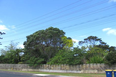 Photo of property in 51 Verbena Road, Birkdale, Auckland, 0626