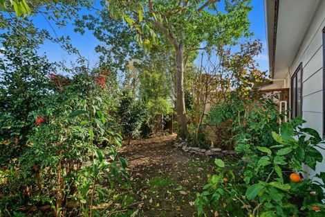 Photo of property in 6 College Place, Poike, Tauranga, 3112