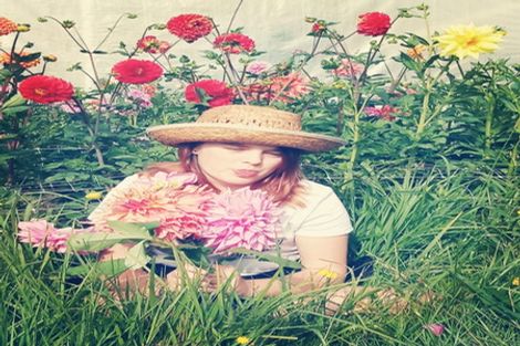 Photo of property in 288 Oropi Gorge Road, Oropi, Tauranga, 3173