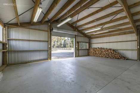 Photo of property in 534 Downs Road, Eyrewell, Rangiora, 7476