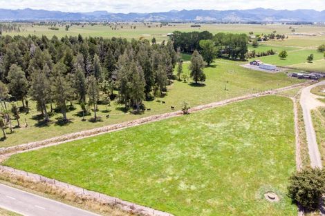 Photo of property in 455 Bush Road, Turua, Ngatea, 3597