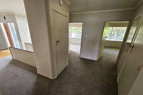 Photo of property in 52 Vine Avenue, Maungatapu, Tauranga, 3112