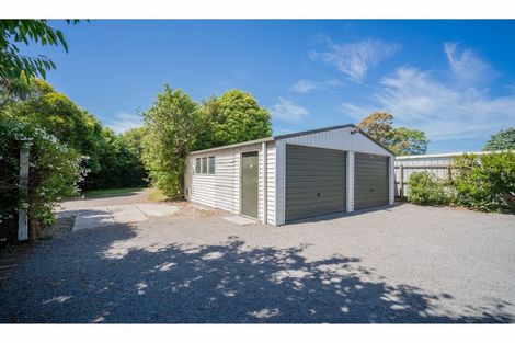 Photo of property in 43 Donegal Street, Belfast, Christchurch, 8051