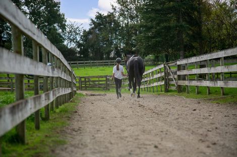 Photo of property in 1032 Tauwhare Road, Tauwhare, Hamilton, 3287