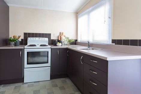 Photo of property in 264 Ferguson Street, Palmerston North, 4410