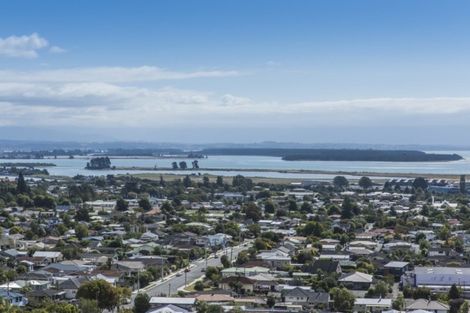 Photo of property in 20 View Mount, Stoke, Nelson, 7011