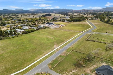 Photo of property in 724 Te Kowhai Road, Te Kowhai, Hamilton, 3288