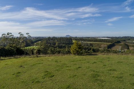 Photo of property in 198b Snodgrass Road, Te Puna, Whakamarama, 3174