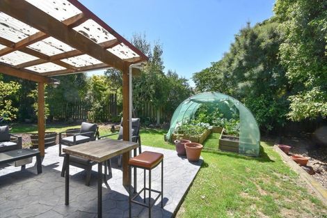 Photo of property in 38 Formby Street, Outram, 9019