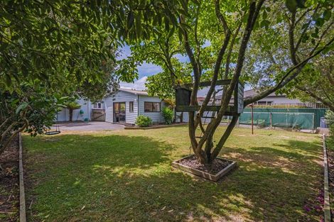 Photo of property in 39 Miro Street, Takaro, Palmerston North, 4410