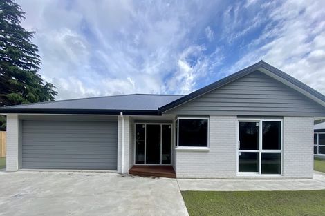 Photo of property in 89b South Belt, Solway, Masterton, 5810
