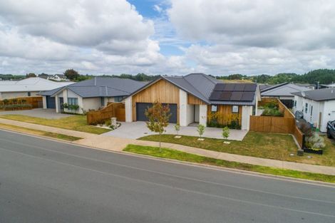 Photo of property in 82f Verbena Road, Birkdale, Auckland, 0626