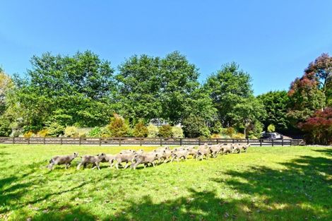 Photo of property in 1437 Old West Coast Road, West Melton, Christchurch, 7671