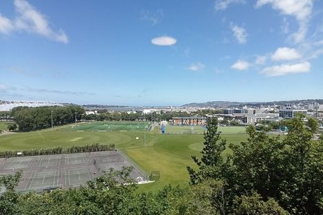 Photo of property in 1 Saint Abbs Place, North Dunedin, Dunedin, 9016