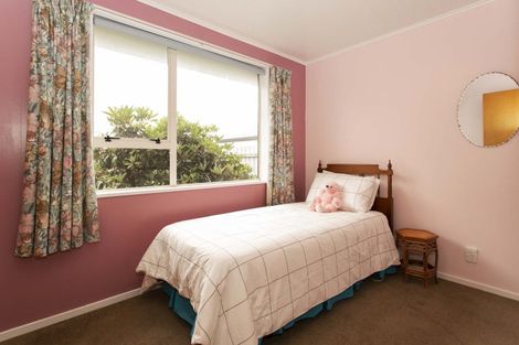 Photo of property in 175 Grove Street, Tinwald, Ashburton, 7700