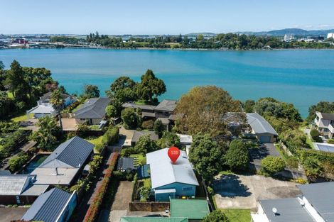 Photo of property in 53b Myres Street, Otumoetai, Tauranga, 3110