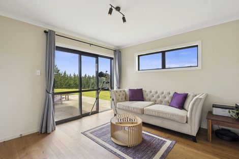 Photo of property in 61 Big Stone Road, Brighton, 9091