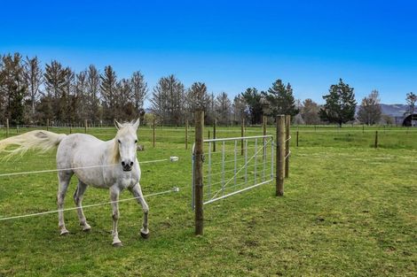 Photo of property in 108 Kawerau Road, Putauaki, Whakatane, 3192
