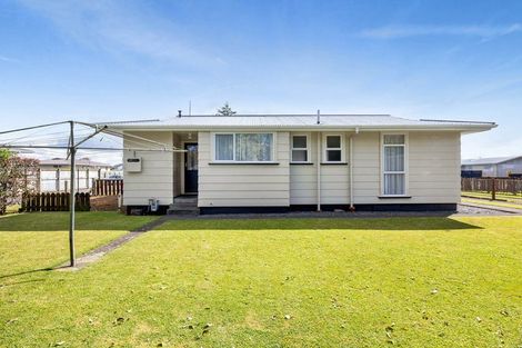 Photo of property in 19 Kamahi Avenue, Hawera, 4610