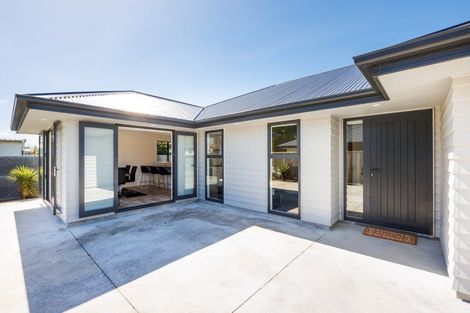 Photo of property in 27b Tyne Street, Roslyn, Palmerston North, 4414