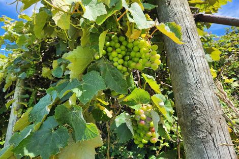 Photo of property in 33 Cambridge Terrace, Kaiti, Gisborne, 4010