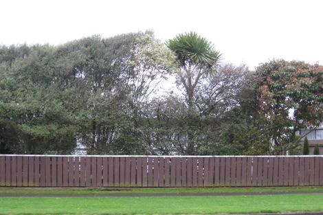 Photo of property in 88 Queen Street West, Levin, 5510