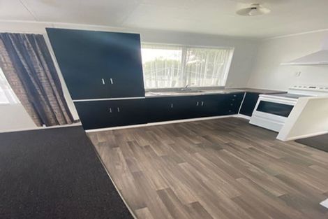 Photo of property in 113 Featherston Street, Palmerston North, 4410